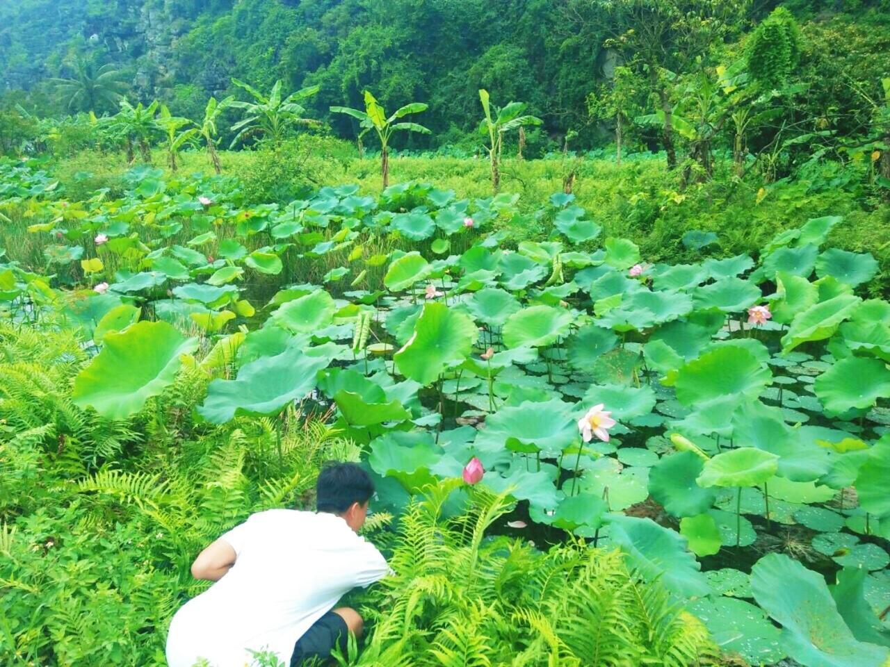 Sunny Trang An Homestay Ninh Bình Ngoại thất bức ảnh