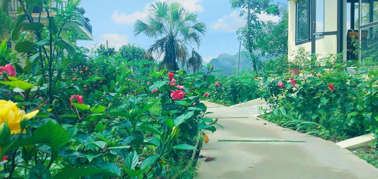 Sunny Trang An Homestay Ninh Bình Ngoại thất bức ảnh